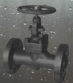 Forged Steel Globe valve