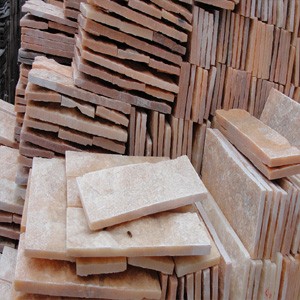 Mushroom Stone Panel 1